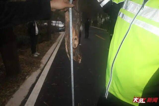 陕西兴平56岁女教师骑电动车“撞树枝”身亡<strong></p>
<p>lun币</strong>，交警判定担主责，家属提出诸多质疑，多方回应