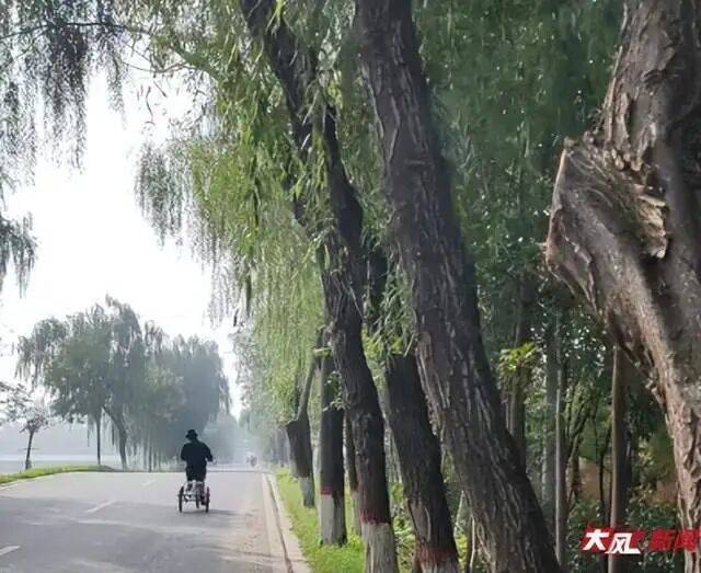 陕西兴平56岁女教师骑电动车“撞树枝”身亡<strong></p>
<p>lun币</strong>，交警判定担主责，家属提出诸多质疑，多方回应