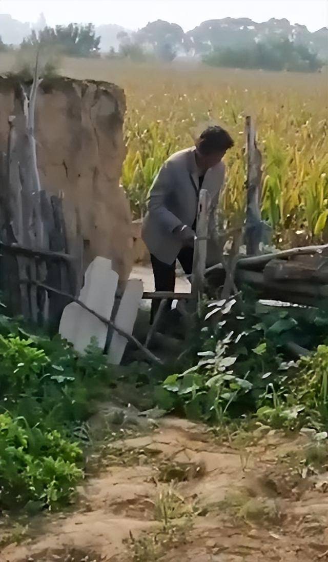 陕西一女子疑因拍亲姑姑偷玉米遭姑父棍杀<strong></p>
<p>悦享币</strong>，邻居欲报警也遇害