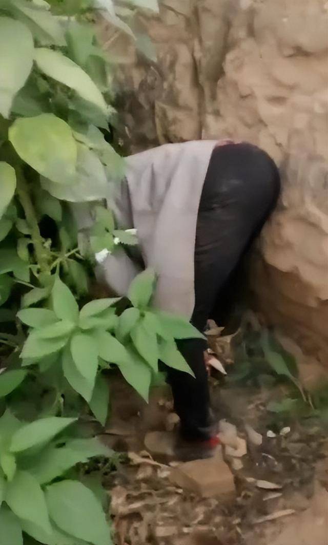 陕西一女子疑因拍亲姑姑偷玉米遭姑父棍杀<strong></p>
<p>悦享币</strong>，邻居欲报警也遇害