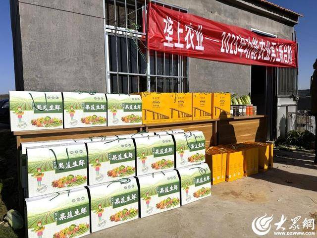 山东青岛:全国首批“板蓝根白菜”喜获丰收<strong></p>
<p>lc币</strong>,正式上市!首批10万棵已被上海采购商“包圆”