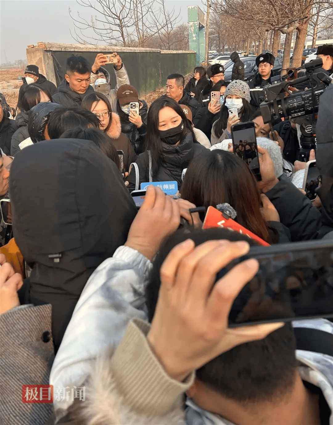 在小区投毒致9条狗死亡<strong></p>
<p>币鸟</strong>,男子获刑4年!