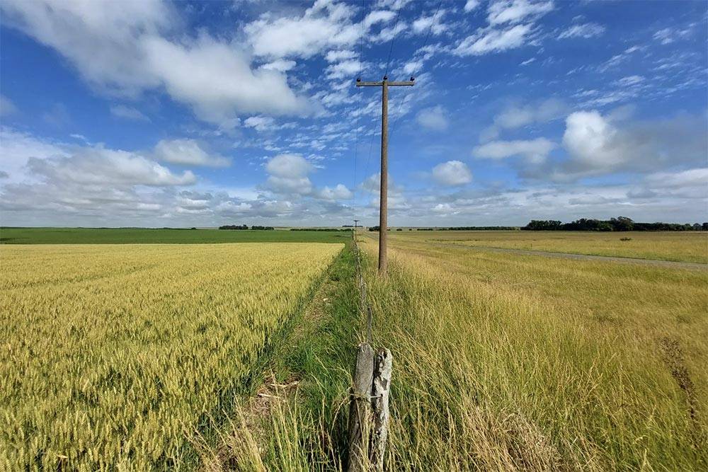自上世纪90年代以来<strong></p>
<p>上币流程</strong>,中国首次购买阿根廷小麦