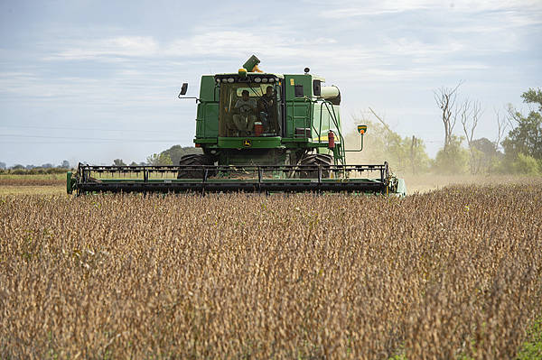 自上世纪90年代以来<strong></p>
<p>上币流程</strong>,中国首次购买阿根廷小麦