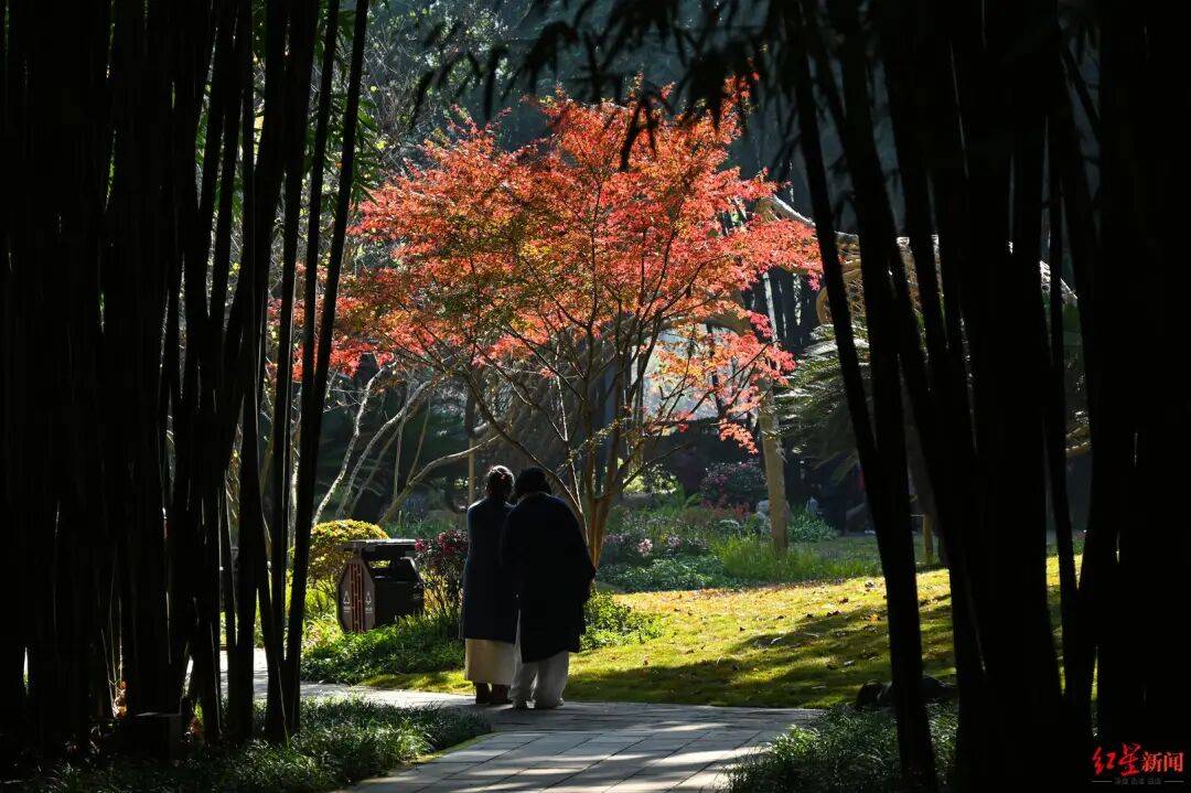 我国已进入拉尼娜状态<strong></p>
<p>海贝币</strong>!四川今冬或“前暖后冷”