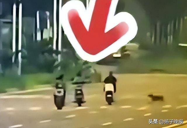 女子骑行被未拴绳大狗撞倒身亡<strong></p>
<p>海贝币</strong>,5个月后丈夫突发脑溢血进ICU,家中还有3个孩子两个老人