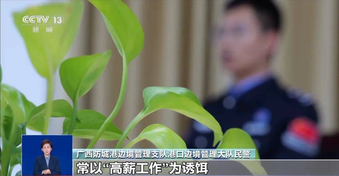 央视披露：男子在网吧厕所墙上看到“高薪日结5000-20000”广告<strong></p>
<p>欧罗巴币</strong>，即将出境时被警方拦下