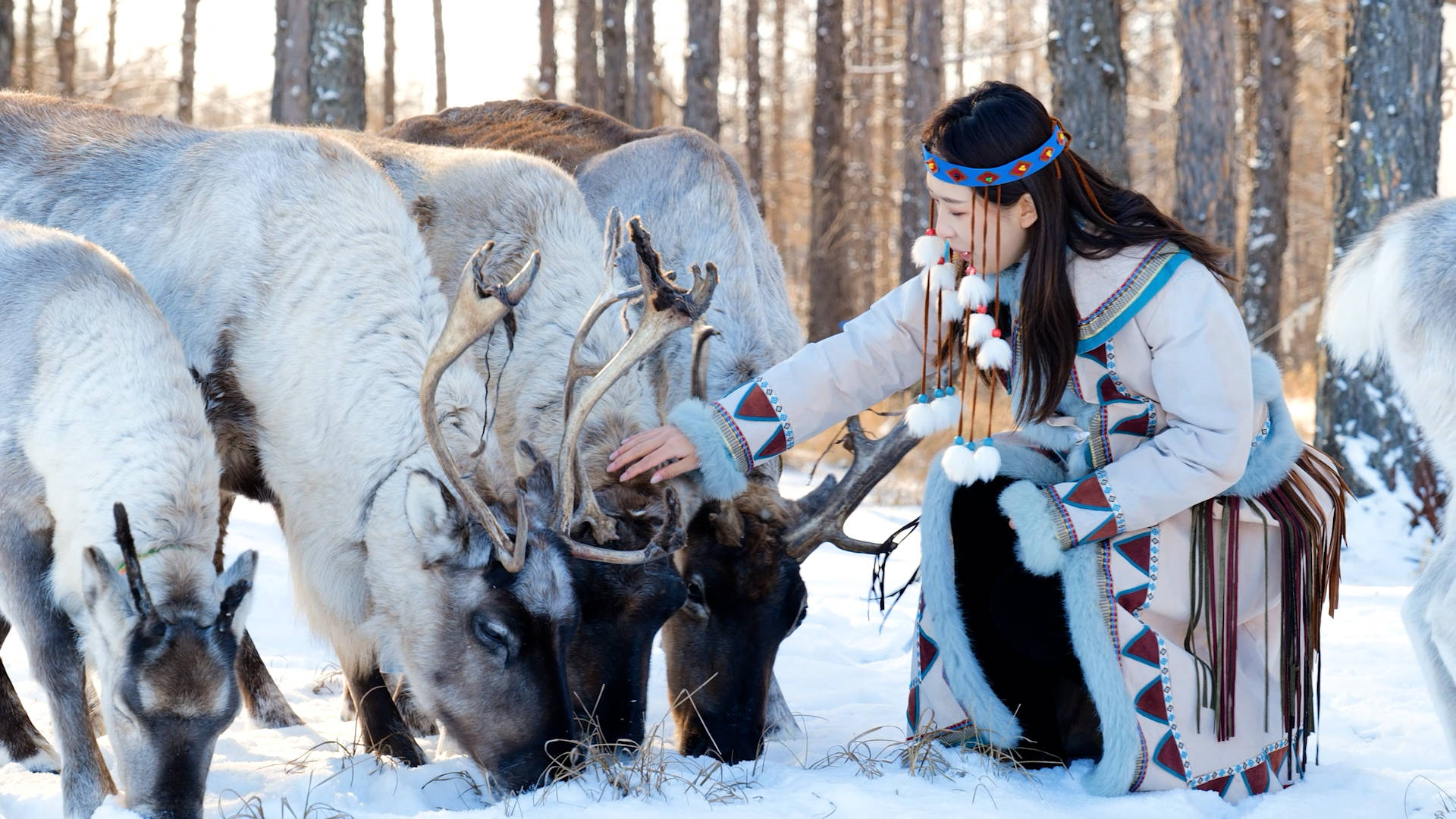 跟着非遗游内蒙古｜呼伦贝尔：以非遗为桥 传承文化多姿魅力