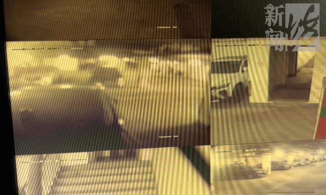 上海一小区车库出现蒙面人<strong></p>
<p>乌龟币</strong>，“完美躲过”45个监控探头…...警方提醒