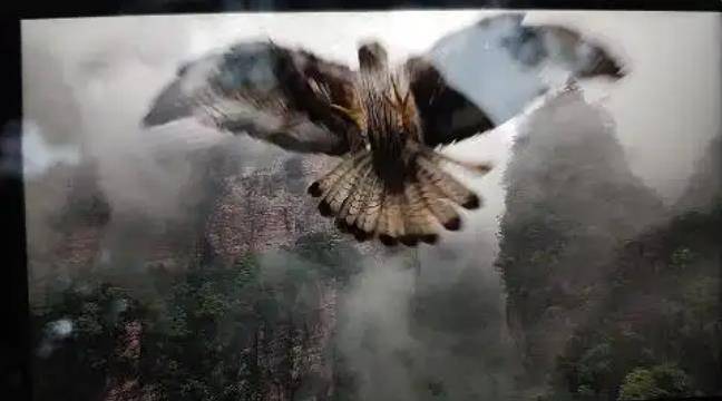 土耳其老鹰空中抓走无人机<strong></p>
<p>比德币</strong>，带上山顶“玩自拍”