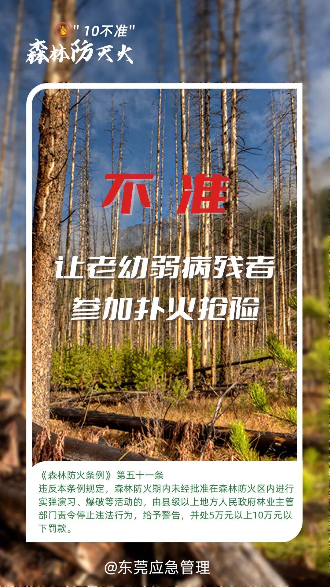 深圳坪山区突发山火<strong></p>
<p>币须网</strong>，最新通报：明火已扑灭，无人员伤亡