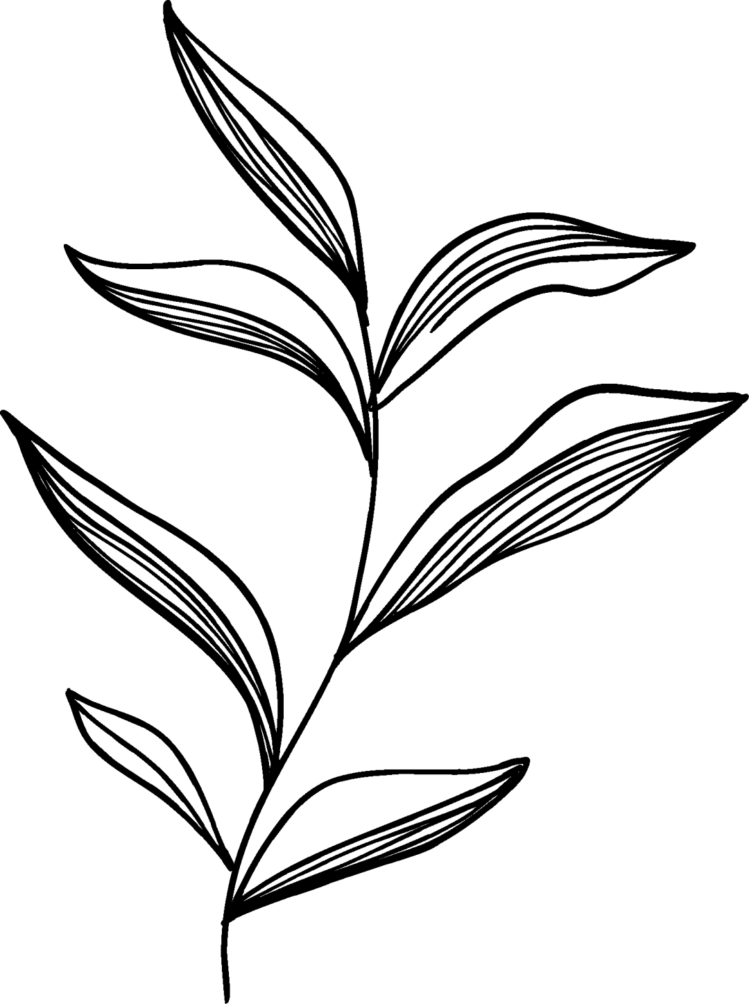 树山分馆限定 | 在竹林里<strong></p>
<p>十万缅币</strong>，细品22支咖啡豆的“风味之书”